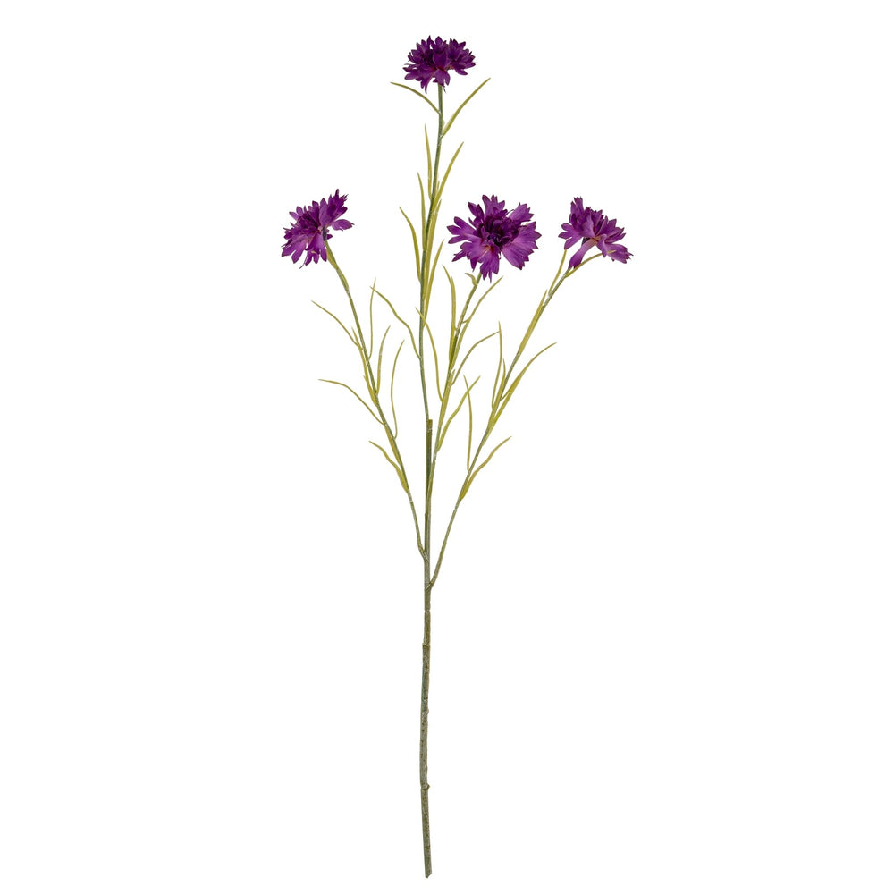 Purple Cornflower Stem - Canwell Interiors Limited - Hills
