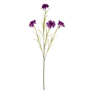 Purple Cornflower Stem - Canwell Interiors Limited - Hills