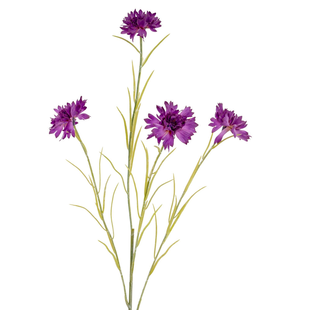Purple Cornflower Stem - Canwell Interiors Limited - Hills