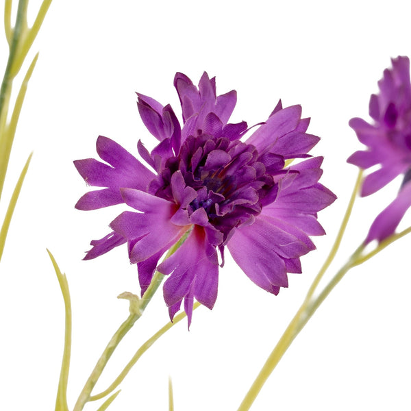 Purple Cornflower Stem - Canwell Interiors Limited - Hills