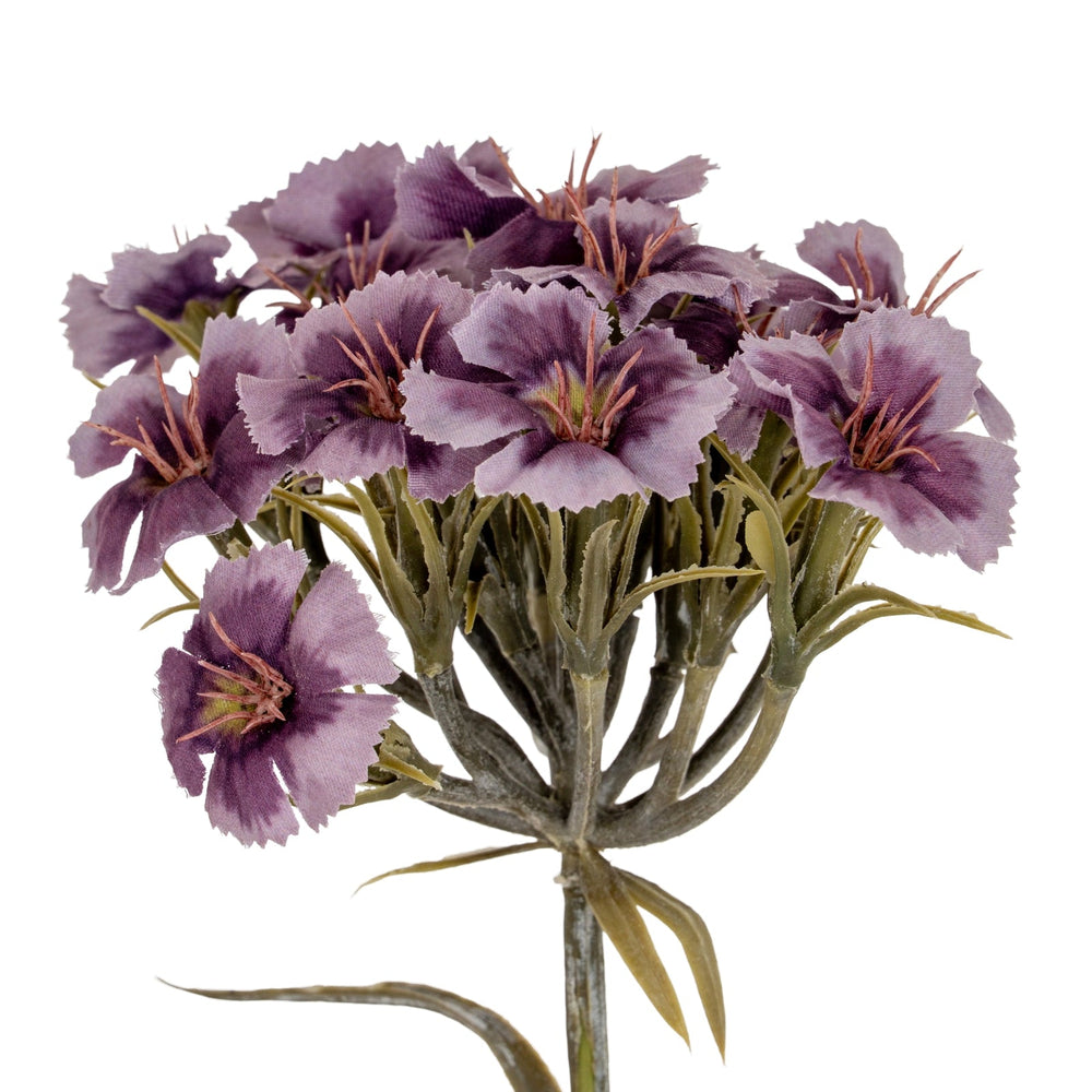 Purple Dianthus Spray - Canwell Interiors Limited - Hills