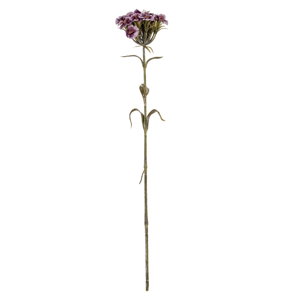 Purple Dianthus Spray - Canwell Interiors Limited - Hills