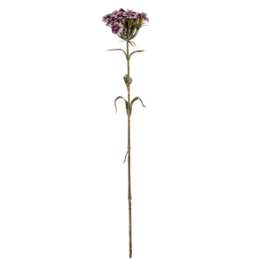 Purple Dianthus Spray - Canwell Interiors Limited - Hills