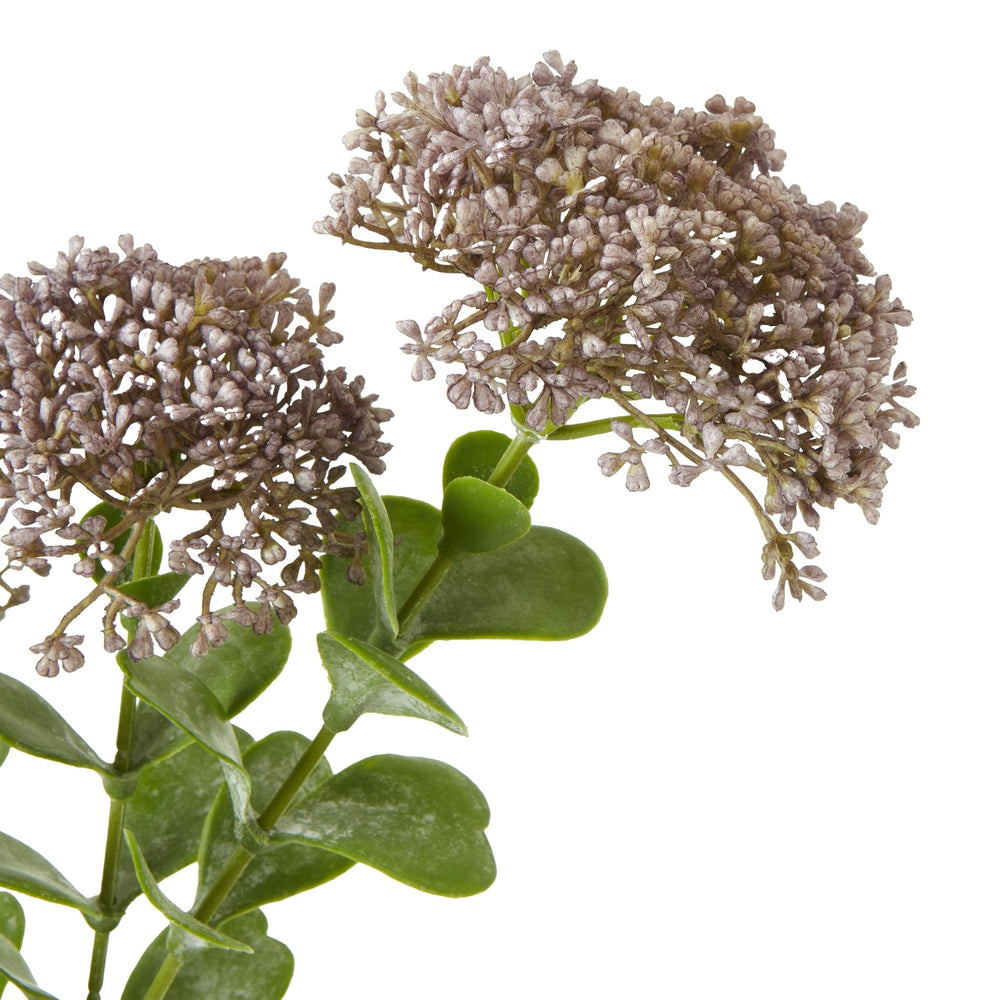 Purple Sedum Spray - Canwell Interiors Limited - Hills