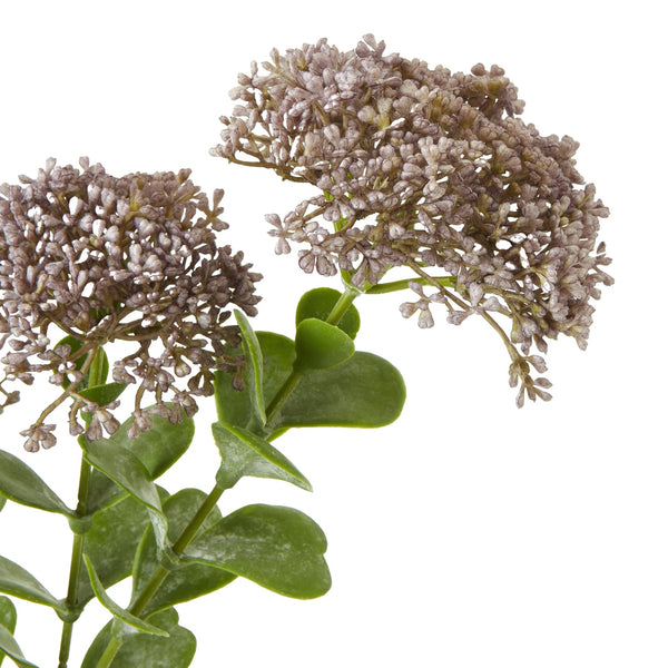 Purple Sedum Spray - Canwell Interiors Limited - Hills