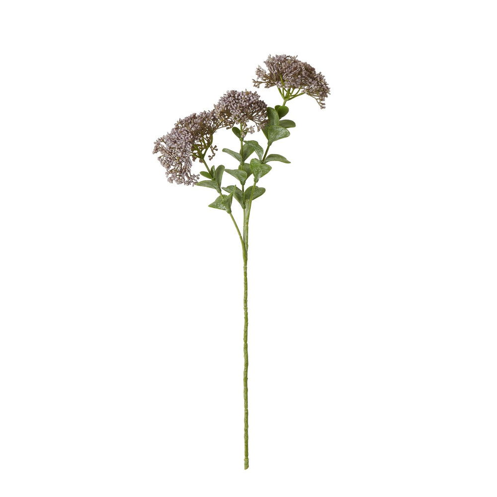 Purple Sedum Spray - Canwell Interiors Limited - Hills