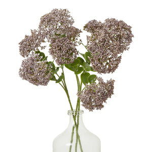 Purple Sedum Spray - Canwell Interiors Limited - Hills