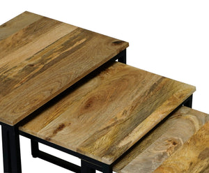 Ravi Iron Base Solild Wood Stool Set /3 - Canwell Interiors Limited - Jaipur