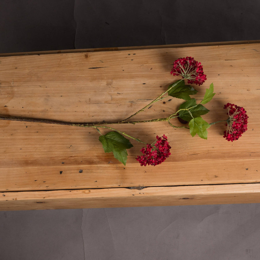Red Autumnal Viburnum - Canwell Interiors Limited - Hills