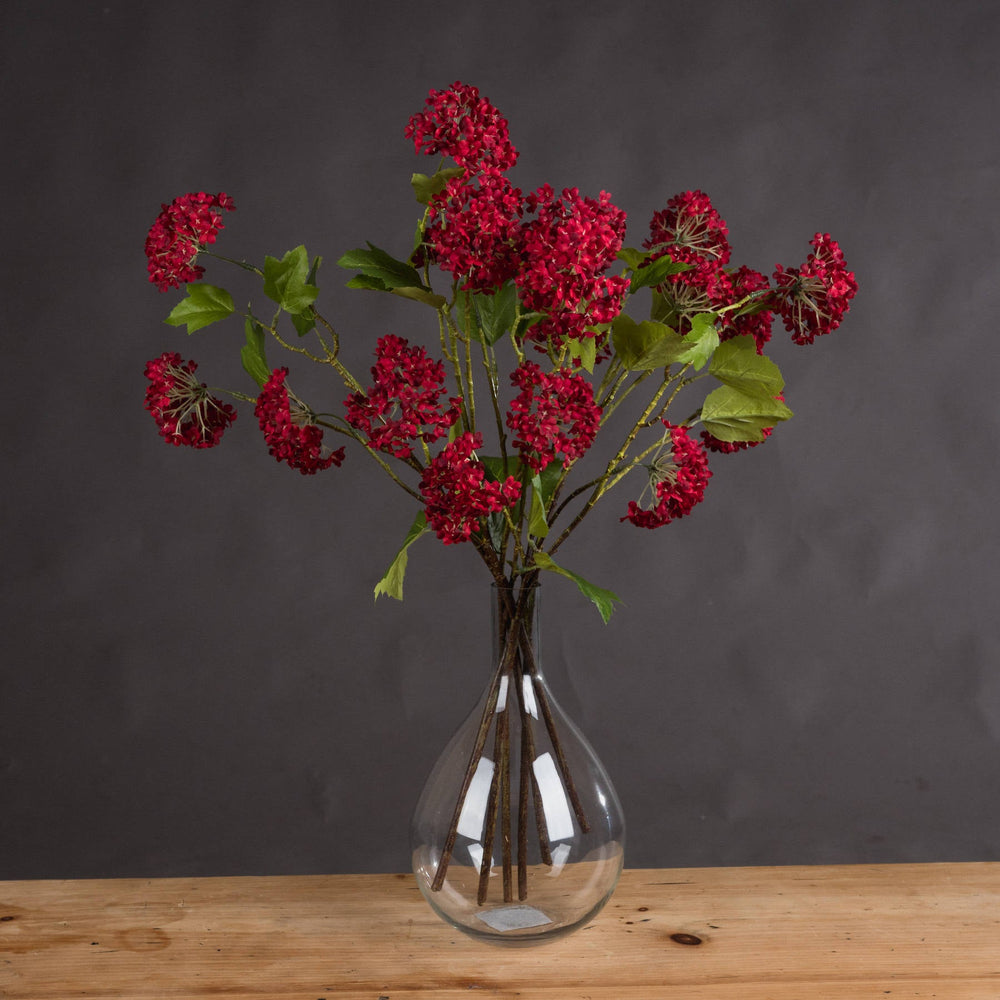Red Autumnal Viburnum - Canwell Interiors Limited - Hills