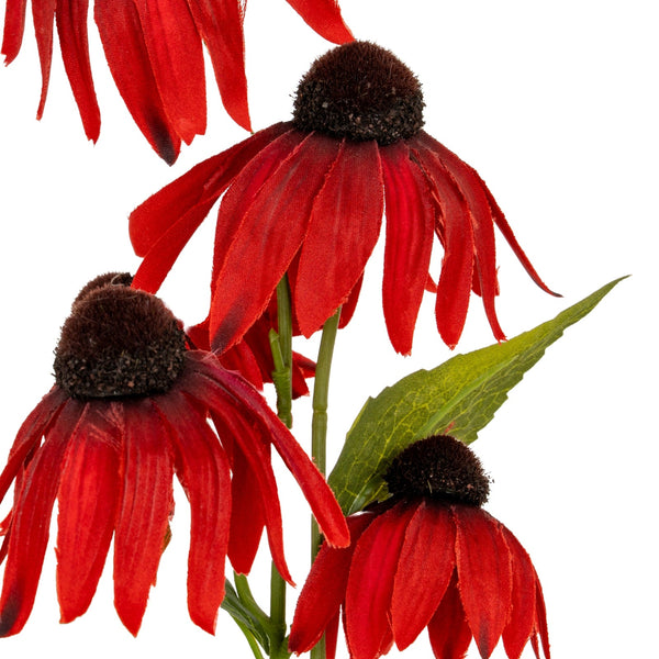 Red Echinacea Spray - Canwell Interiors Limited - Hills