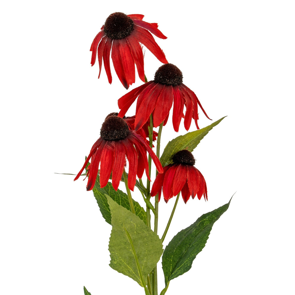 Red Echinacea Spray - Canwell Interiors Limited - Hills