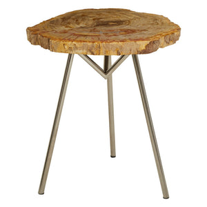 Relic Large Petrified Wood Side Table - Canwell Interiors Limited - Xshowhome