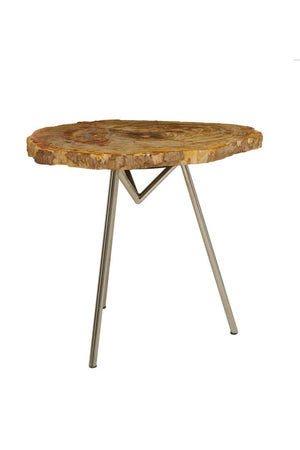 Relic Large Petrified Wood Side Table - Canwell Interiors Limited - Xshowhome
