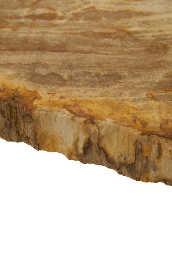 Relic Large Petrified Wood Side Table - XShowhome Limited - Xshowhome