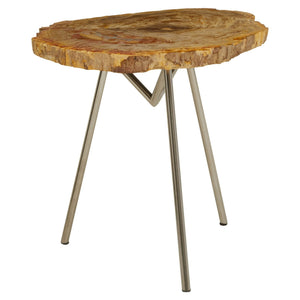 Relic Large Petrified Wood Side Table - XShowhome Limited - Xshowhome