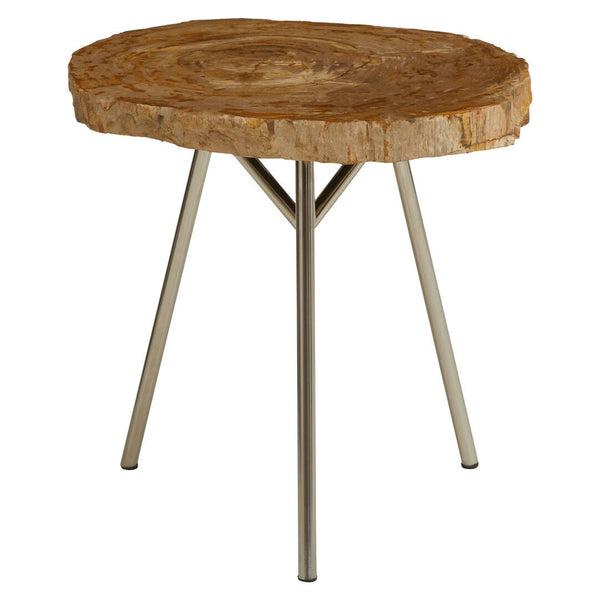 Relic Medium Petrified Wood Side Table - Canwell Interiors Limited - Xshowhome