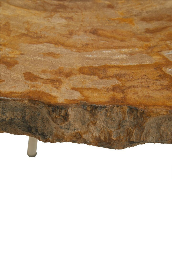 Relic Medium Petrified Wood Side Table - Canwell Interiors Limited - Xshowhome