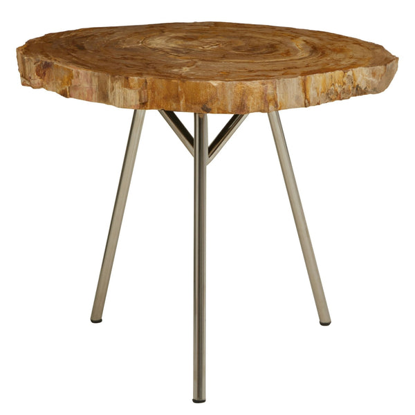 Relic Medium Petrified Wood Side Table - XShowhome Limited - Xshowhome