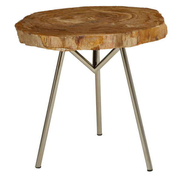Relic Medium Petrified Wood Side Table - XShowhome Limited - Xshowhome