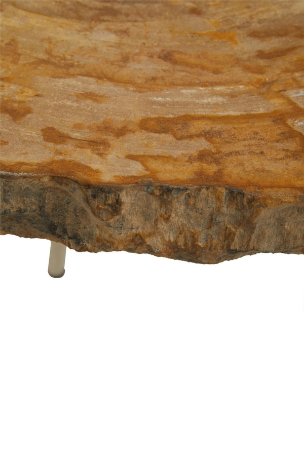 Relic Medium Petrified Wood Side Table - XShowhome Limited - Xshowhome