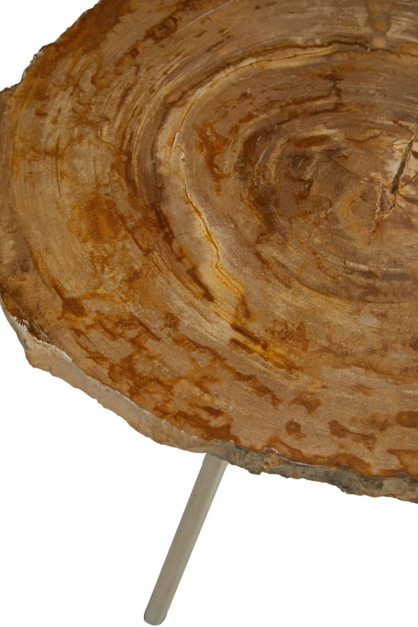 Relic Medium Petrified Wood Side Table - XShowhome Limited - Xshowhome