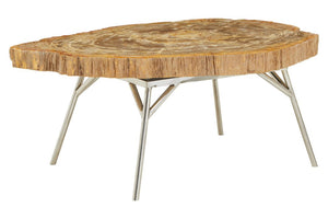Relic Natural Petrified Wood Coffee Table - Canwell Interiors Limited - Xshowhome