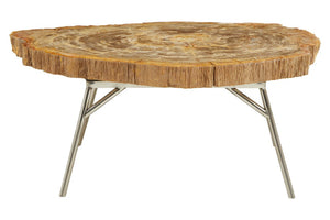 Relic Natural Petrified Wood Coffee Table - Canwell Interiors Limited - Xshowhome