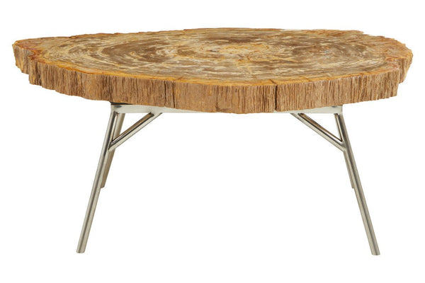 Relic Natural Petrified Wood Coffee Table - Canwell Interiors Limited - Xshowhome