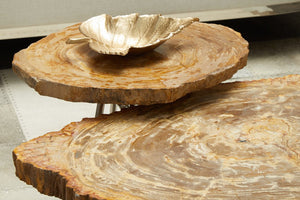 Relic Natural Petrified Wood Coffee Table - Canwell Interiors Limited - Xshowhome