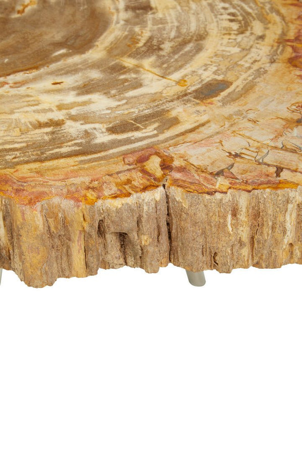 Relic Natural Petrified Wood Coffee Table - Canwell Interiors Limited - Xshowhome