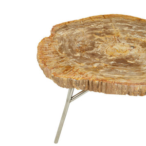 Relic Natural Petrified Wood Coffee Table - Canwell Interiors Limited - Xshowhome