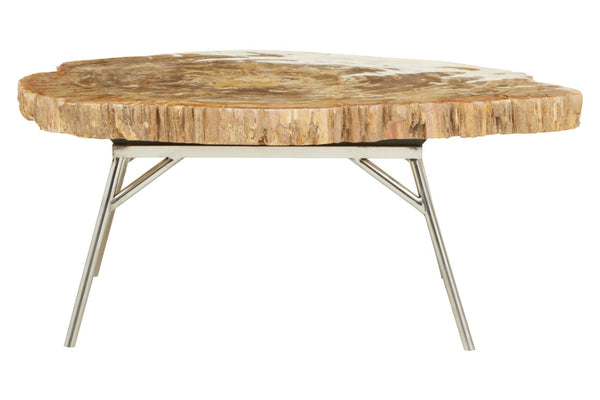 Relic Natural Petrified Wood Coffee Table - XShowhome Limited - Xshowhome