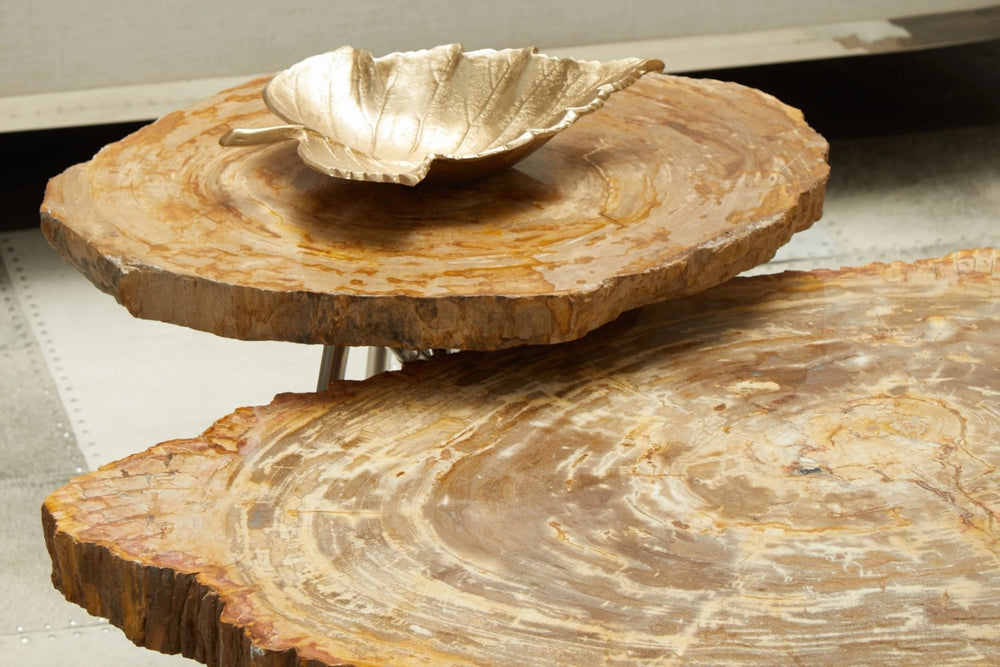 Relic Natural Petrified Wood Coffee Table - XShowhome Limited - Xshowhome
