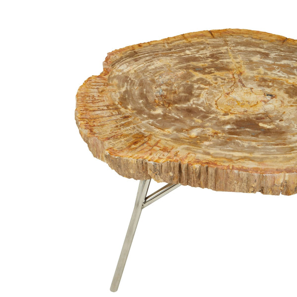 Relic Natural Petrified Wood Coffee Table - XShowhome Limited - Xshowhome