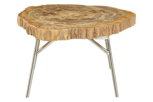 Relic Natural Petrified Wood Coffee Table - XShowhome Limited - Xshowhome