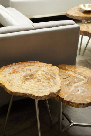 Relic Small Petrified Wood Side Table - XShowhome Limited - Xshowhome