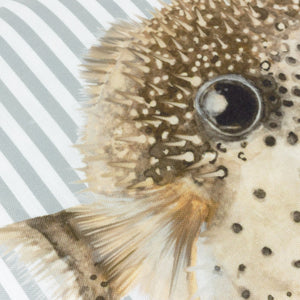Salcombe Puffer Fish 43x43 Feather Filled Cushion Multi - Canwell Interiors Limited - Riva