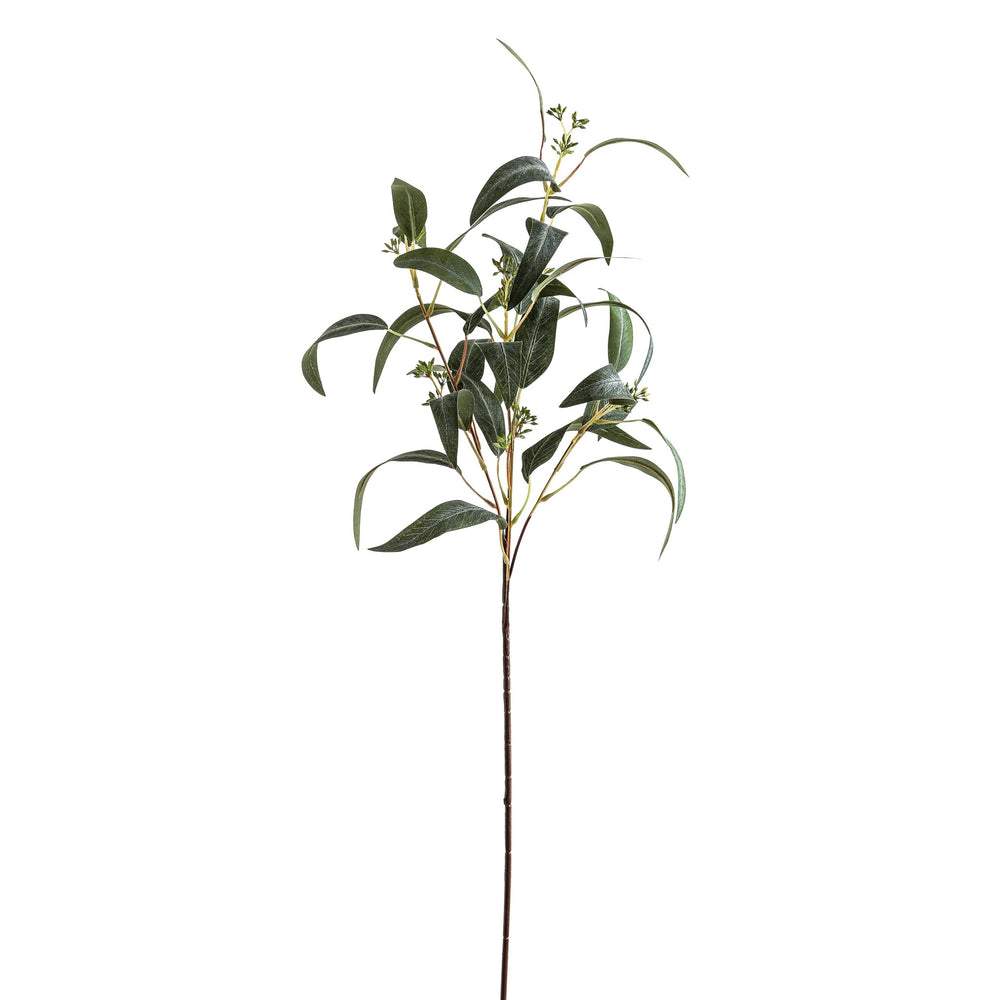 Seeded Eucalyptus Spray - Canwell Interiors Limited - Hills
