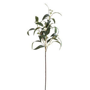 Seeded Eucalyptus Spray - Canwell Interiors Limited - Hills