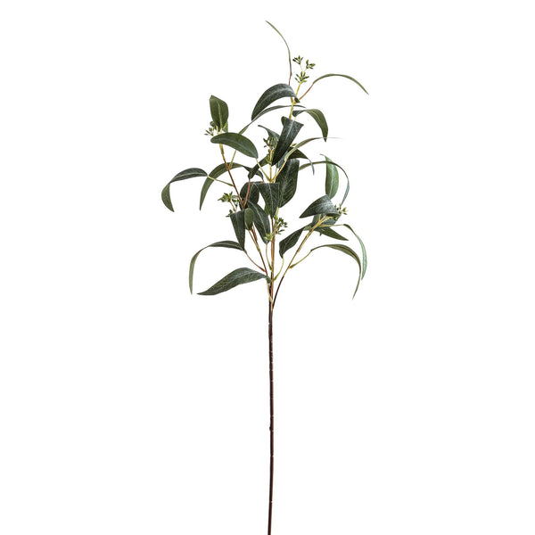 Seeded Eucalyptus Spray - Canwell Interiors Limited - Hills