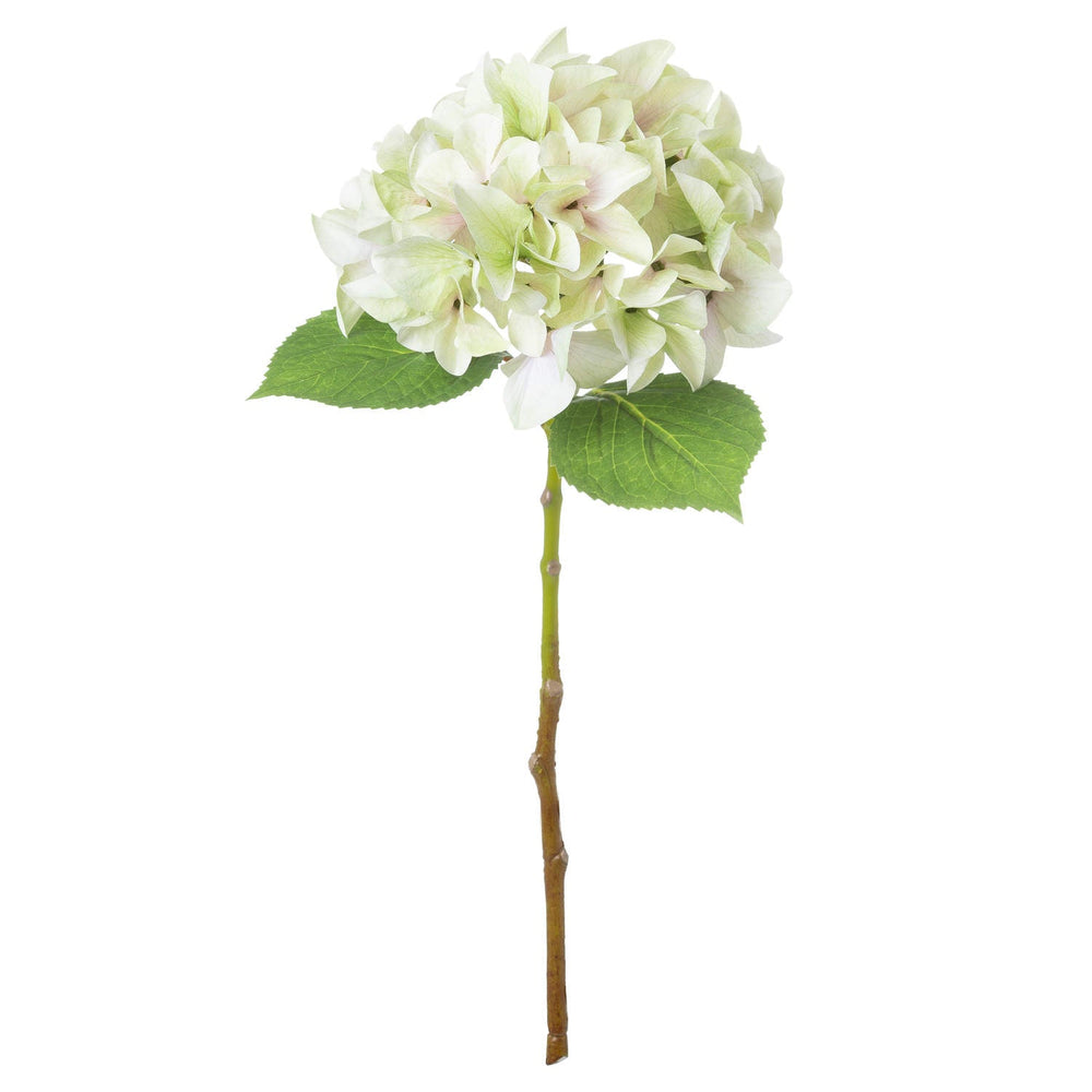 Shabby Green Single Hydrangea - Canwell Interiors Limited - Hills