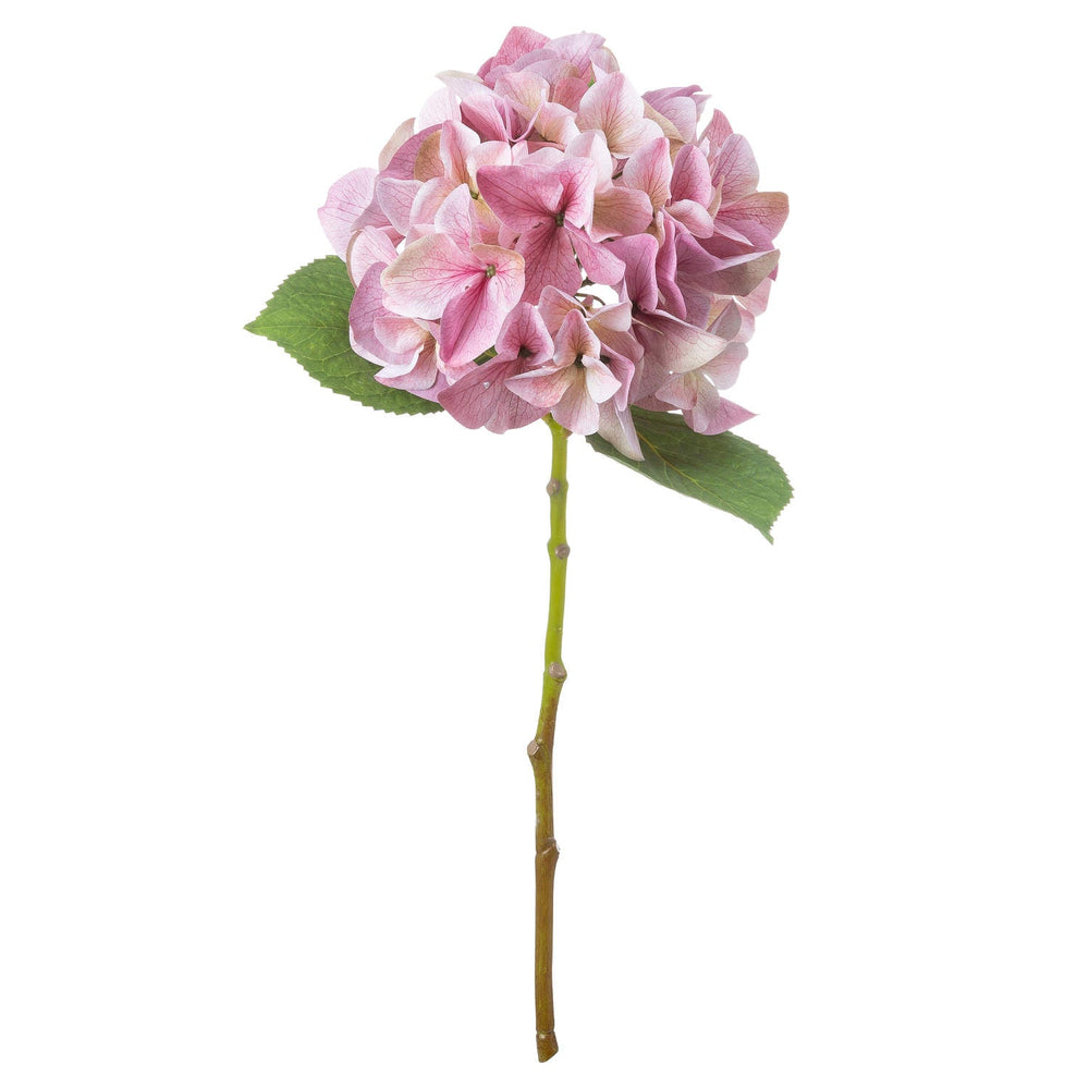 Shabby Pink Single Hydrangea - Canwell Interiors Limited - Hills
