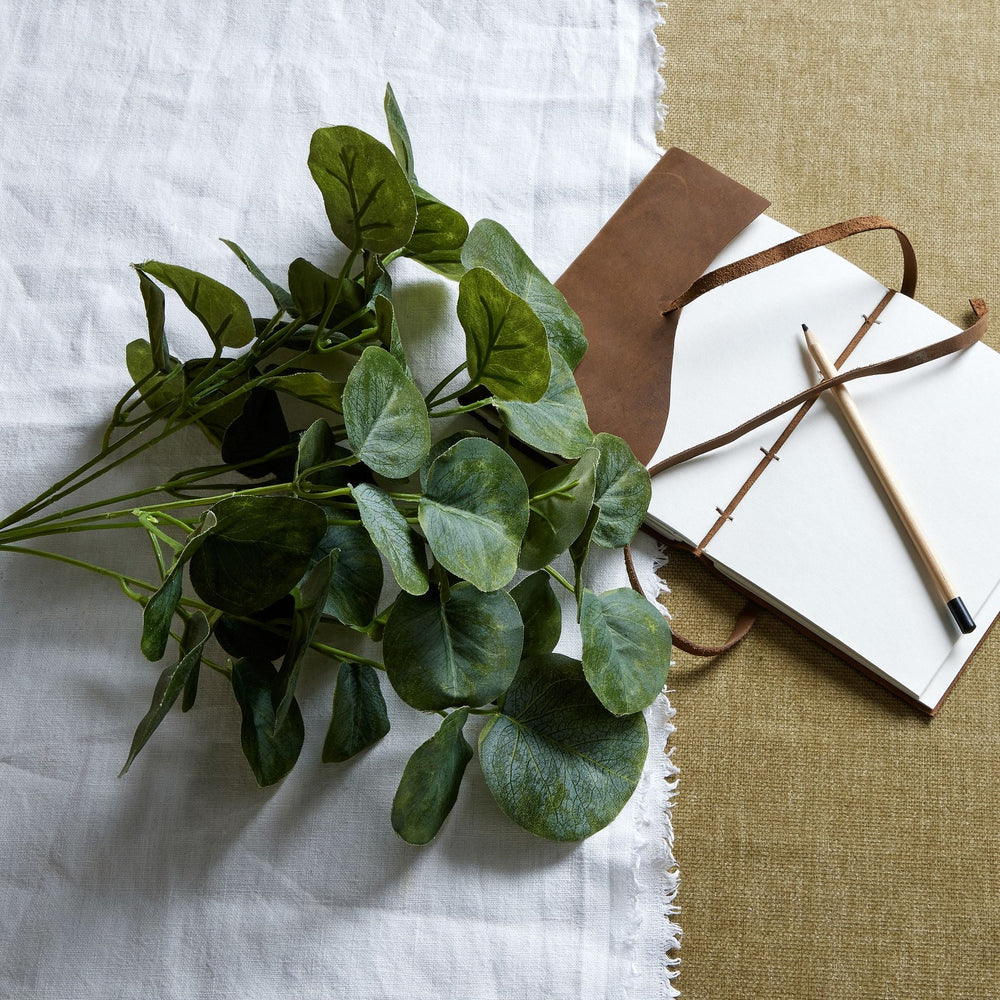 Short Eucalyptus Bunch - Canwell Interiors Limited - Hills