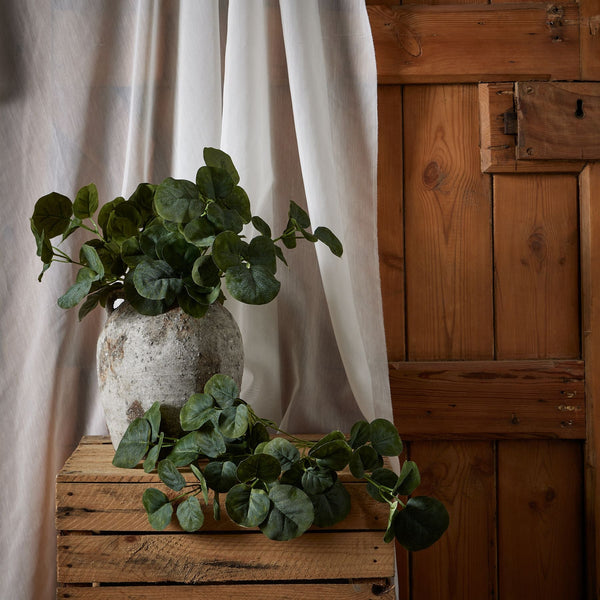 Short Eucalyptus Bunch - Canwell Interiors Limited - Hills