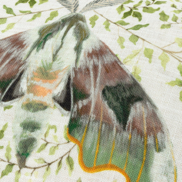 Shugborough Moth 30x50 Feather Filled Cushion Multi - Canwell Interiors Limited - Riva