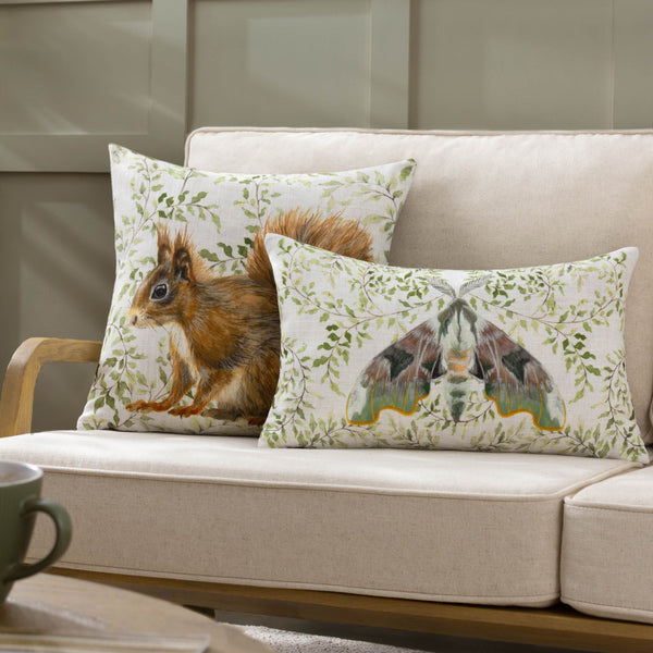 Shugborough Moth 30x50 Feather Filled Cushion Multi - Canwell Interiors Limited - Riva