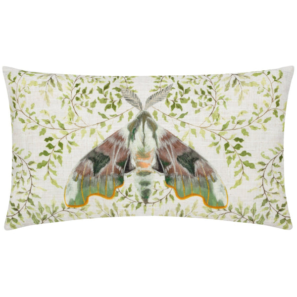 Shugborough Moth 30x50 Feather Filled Cushion Multi - Canwell Interiors Limited - Riva