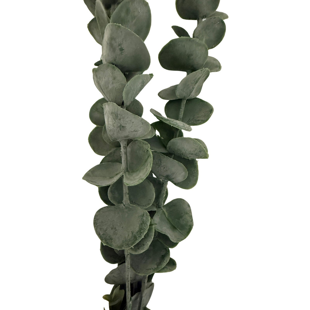 Silver Dollar Eucalyptus - Canwell Interiors Limited - Hills