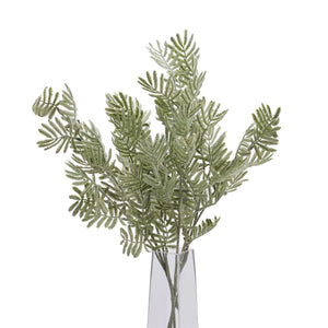 Silver Wattle Leaf - Canwell Interiors Limited - Hills